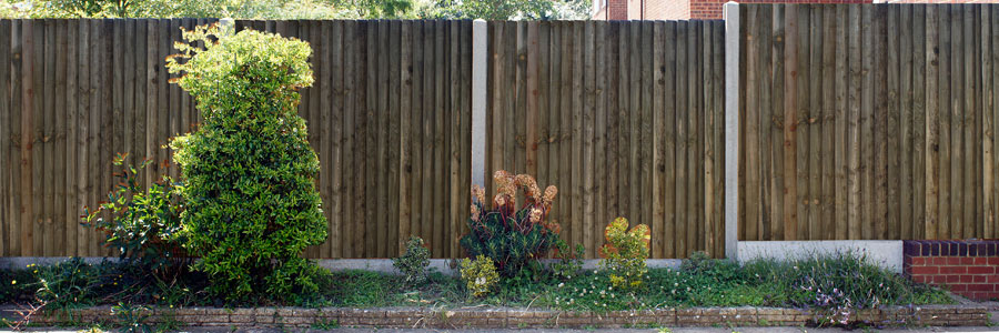 Presure treated featheredge, fences, kingswood
