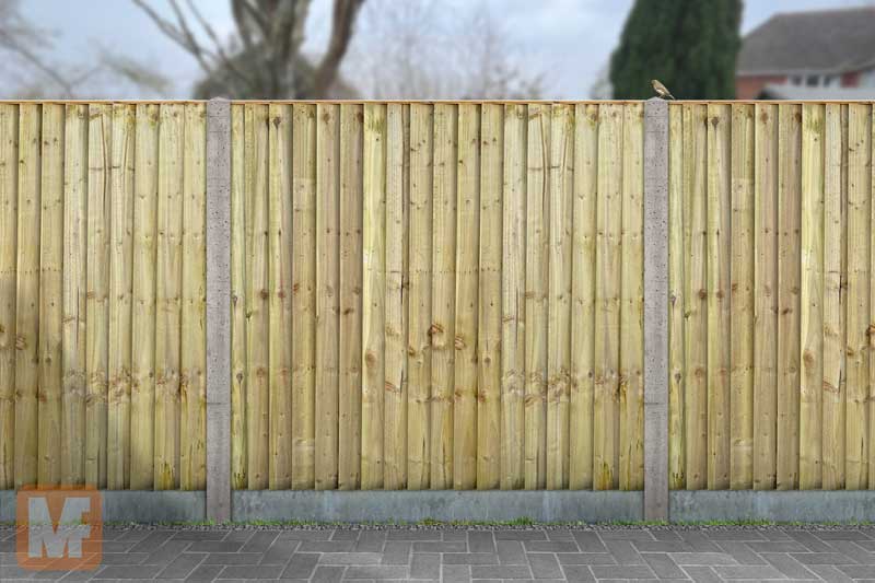 featheredge fencing panel, Maidstone